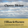 Open Skies - the single